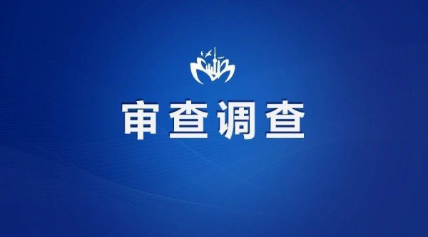 达道宝 涉嫌严重违纪违法！四川阆中阆腾城乡建设控股集团有限公司董事杨伟被查