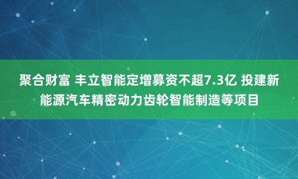 聚合财富 丰立智能定增募资不超7.3亿 投建新能源汽车精密动力齿轮智能制造等项目