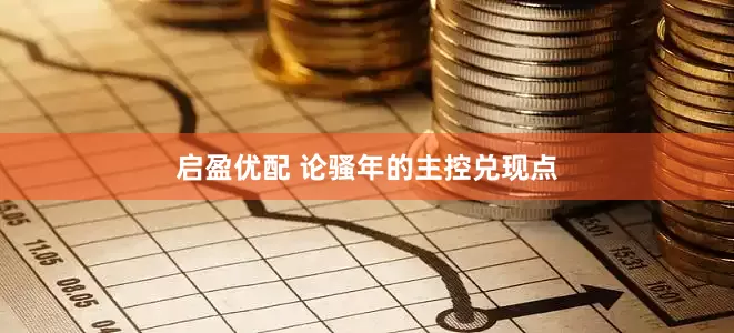 启盈优配 论骚年的主控兑现点